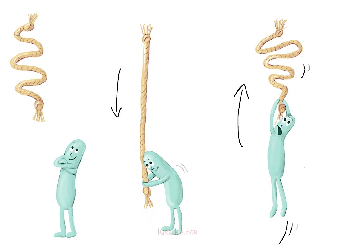 NL3 Elastin Elastische Fasern